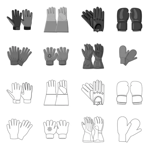 Vektor-Illustration von Handschuh und Wintersymbol. Set von Handschuhen und Ausrüstung Vektor Illustration. — Stockvektor