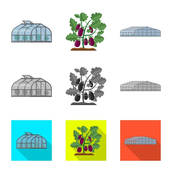 Vectorillustratie van broeikasgassen en plant logo. Aantal serre en tuin voorraad vectorillustratie. — Stockvector