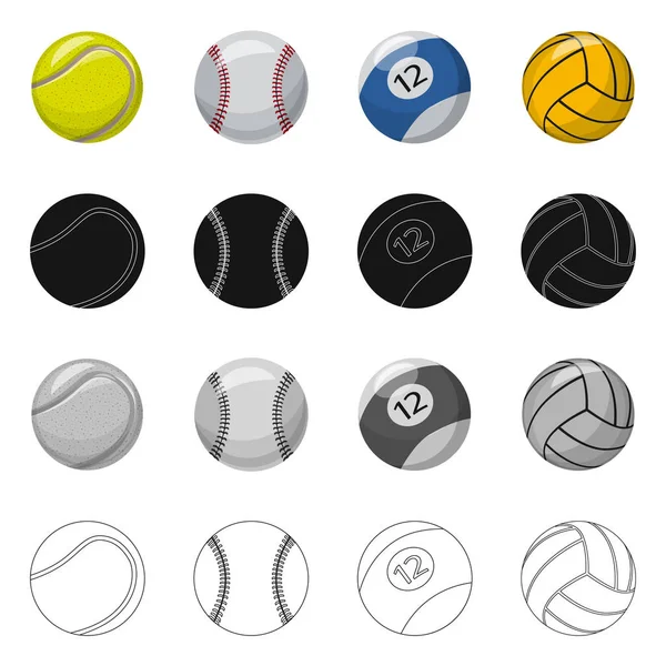 Diseño vectorial del logo del deporte y la pelota. Colección de deporte e ilustración de vector de stock atlético . — Vector de stock