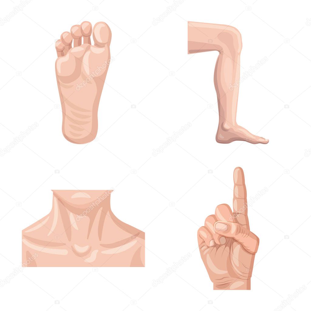 Isolated object of human and part sign. Collection of human and woman stock symbol for web.