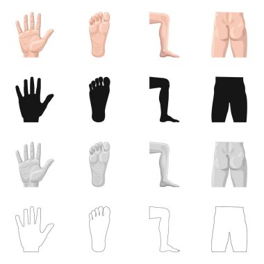 İnsan ve yarım logo vektör tasarımı. İnsan kümesi ve hisse senedi için kadın vektör simgesi.