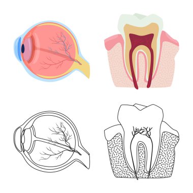 Vücut ve insan simge vektör tasarımı. Vücut ve web için tıbbi hisse senedi simgesi toplama.