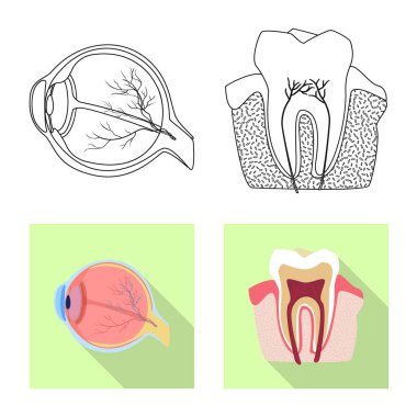 Vücut ve insan logo vektör çizimi. Vücut ve hisse senedi için tıbbi vektör ikon koleksiyonu.