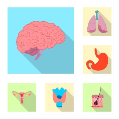 Vücut ve insan işareti vektör çizimi. Vücut ve web için tıbbi hisse senedi simgesi.