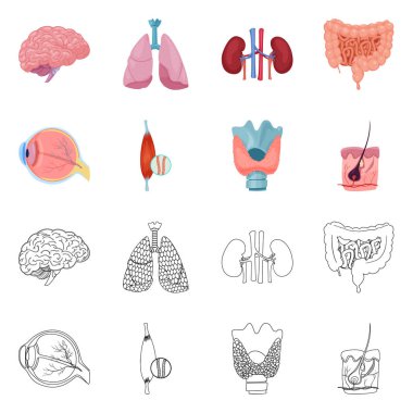 Vücut ve insan sembolü yalıtılmış nesne. Vücut ve hisse senedi için tıbbi vektör ikon koleksiyonu.