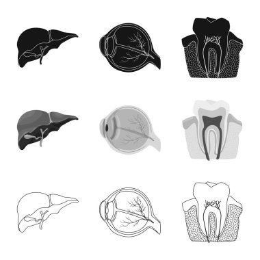 Vücut ve insan işareti vektör çizimi. Vücut ve hisse senedi için tıbbi vektör ikon koleksiyonu.