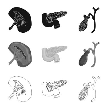 Vücut ve insan simge vektör çizimi. Vücut ve web için tıbbi hisse senedi simgesi.