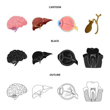 Vücut ve insan işareti vektör çizimi. Vücut ve web için tıbbi hisse senedi simgesi toplama.
