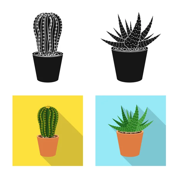 Kaktusz és a pot szimbólum izolált tárgya. Kaktusz és kaktuszok tőzsdei szimbólum a web. — Stock Vector