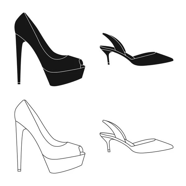 Diseño vectorial de calzado y mujer icono. Colección de calzado y pie stock vector ilustración . — Vector de stock