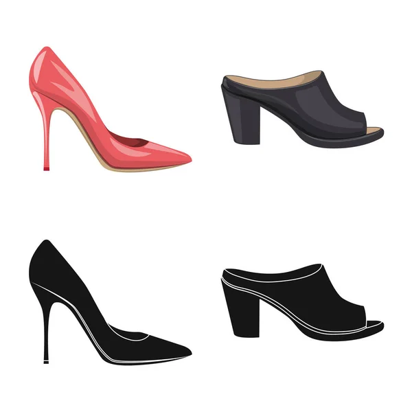 Objet isolé de chaussures et logo femme. Ensemble de chaussures et icône de vecteur de pied pour stock . — Image vectorielle