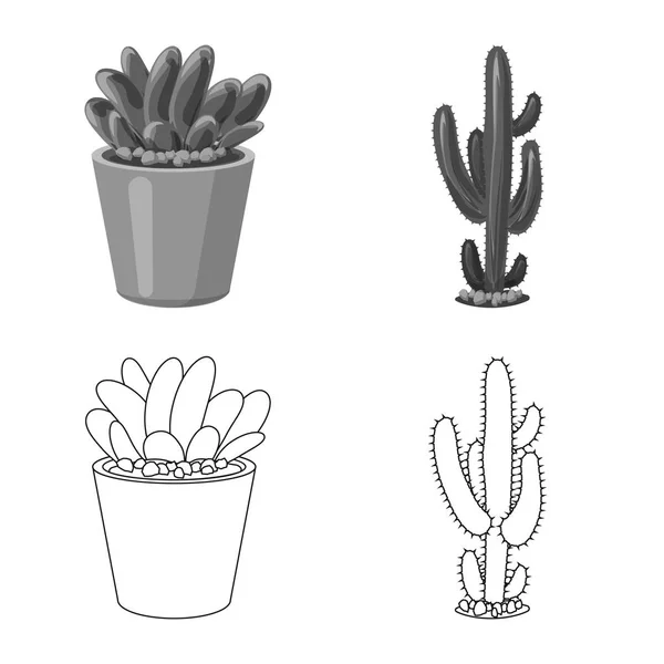 Illustration vectorielle du cactus et icône du pot. Collection de cactus et de cactus symbole stock pour le web . — Image vectorielle