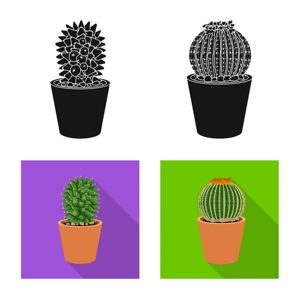 Conception vectorielle du cactus et de l'icône du pot. Collection de cactus et de cactus illustration vectorielle de stock . — Image vectorielle