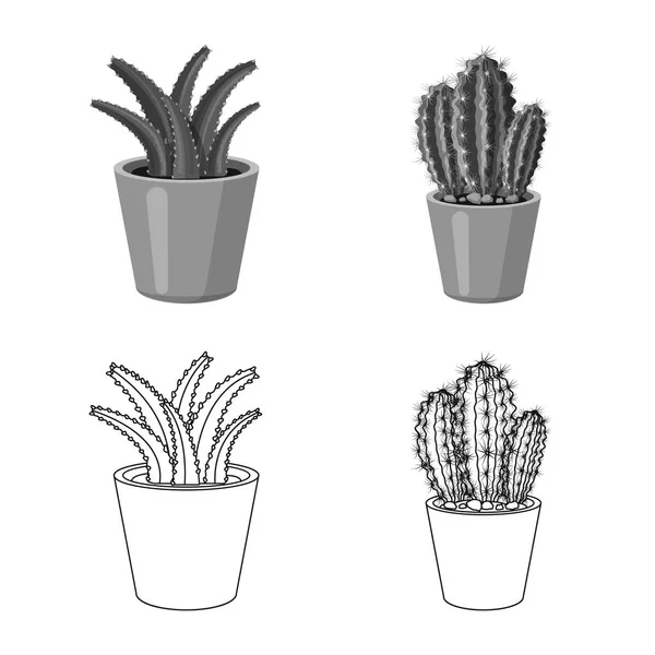Διάνυσμα Σχεδιασμός λογότυπο cactus και ποτ. Συλλογή κάκτων και κάκτοι απόθεμα σύμβολο για το web. — Διανυσματικό Αρχείο