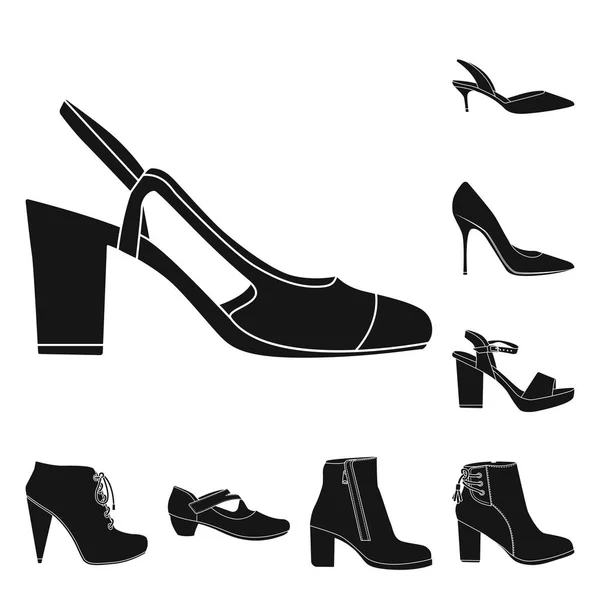 Изолированный предмет обуви и женский символ. Коллекция векторной иллюстрации обуви и ног . — стоковый вектор