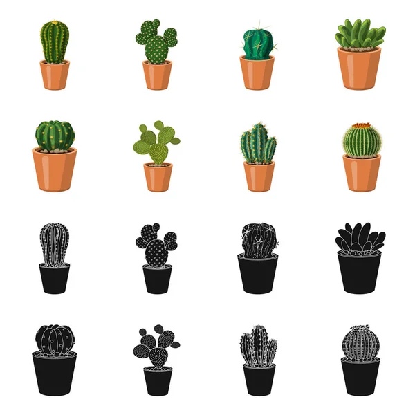 Design vettoriale del cactus e del simbolo della pentola. Collezione di cactus e cactus stock symbol per il web . — Vettoriale Stock