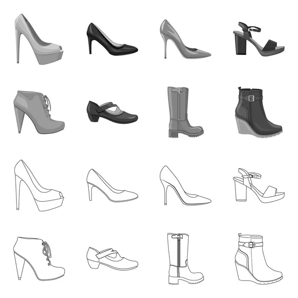 Ayakkabı ve kadın simgesi yalıtılmış nesne. Hisse senedi için ayakkabı ve ayak vektör simge topluluğu. — Stok Vektör