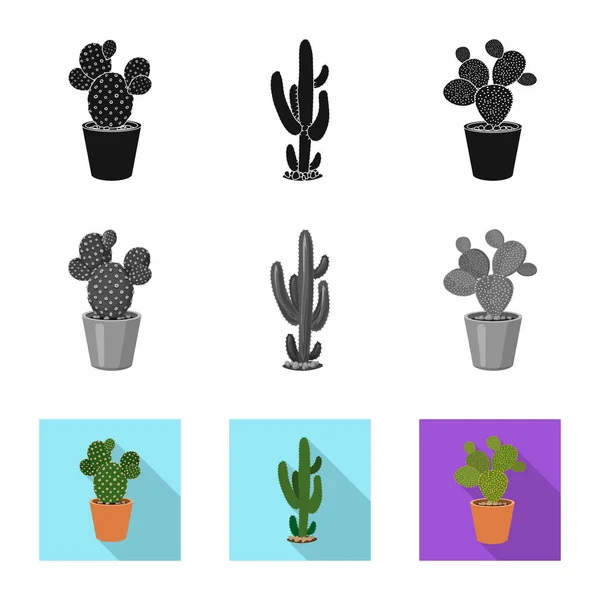 Diseño vectorial de cactus e ícono de maceta. Colección de cactus y cactus vector icono para stock . — Archivo Imágenes Vectoriales