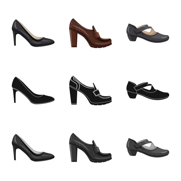 Ilustración vectorial de calzado y signo de mujer. Colección de calzado y pie vector icono para stock . — Vector de stock