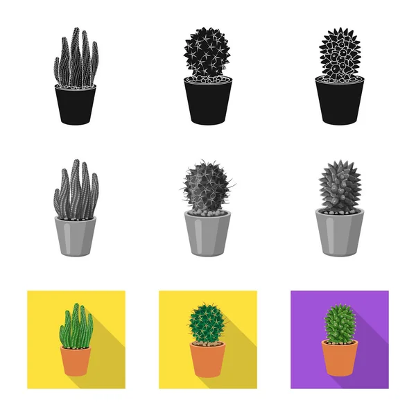 Vector ontwerp van pictogram cactus en pot. Collectie van de cactus en cactussen vector pictogram voor voorraad. — Stockvector