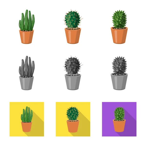 Vector ontwerp van cactus en pot symbool. Set cactus en cactussen voorraad vectorillustratie. — Stockvector