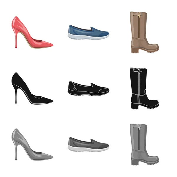 Illustrazione vettoriale di calzature e icona donna. Set di calzature e icona vettoriale del piede per stock . — Vettoriale Stock