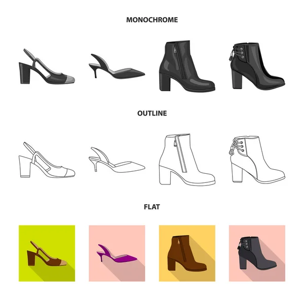 Ilustración vectorial de calzado y signo de mujer. Colección de calzado y pie símbolo de stock para la web . — Vector de stock