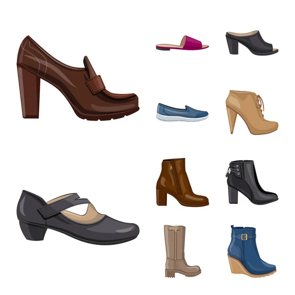 Geïsoleerde object van schoeisel en vrouw pictogram. Collectie van schoeisel en voet aandelensymbool voor web. — Stockvector