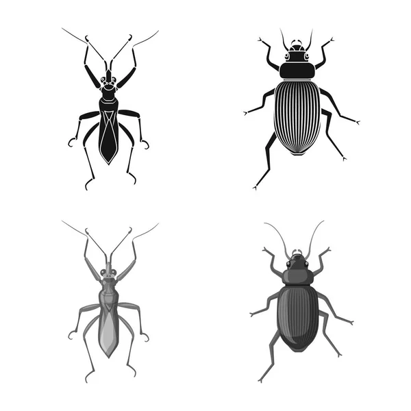 昆虫やフライの記号のベクター イラストです。Web の昆虫と要素のストック シンボルのコレクション. — ストックベクタ