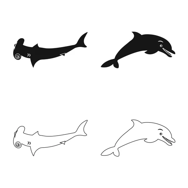 Векторная иллюстрация знака моря и животных. Комплект морских и морских векторных значков для склада . — стоковый вектор