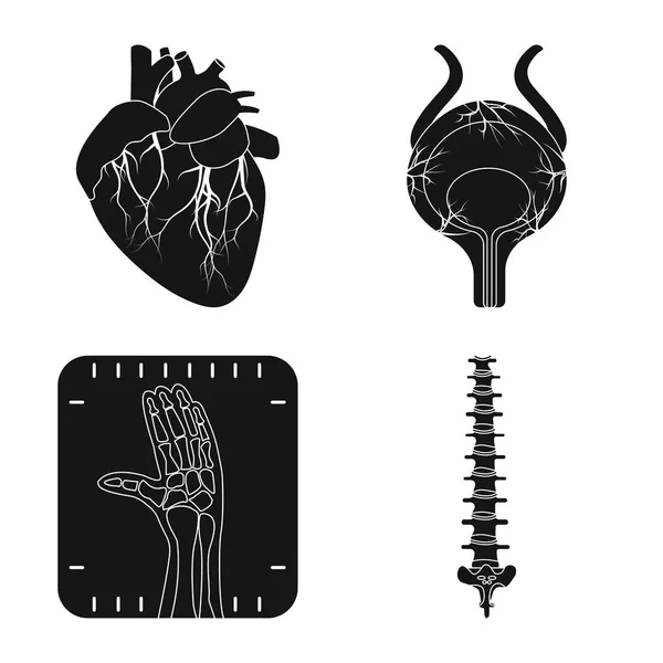 Ilustração vetorial do corpo e do ícone humano. Conjunto de corpo e símbolo de estoque médico para web . — Vetor de Stock