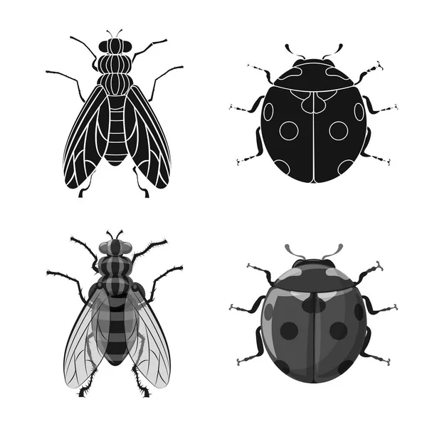 Projeto vetorial de inseto e logotipo da mosca. Conjunto de símbolo de estoque de insetos e elementos para web . — Vetor de Stock