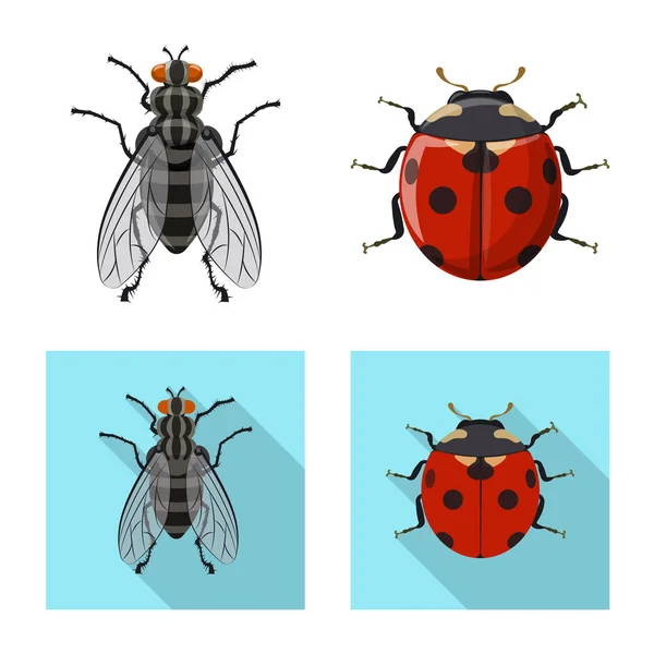 Ilustración vectorial del signo de insectos y moscas. Conjunto de icono de vector de insectos y elementos para stock . — Archivo Imágenes Vectoriales