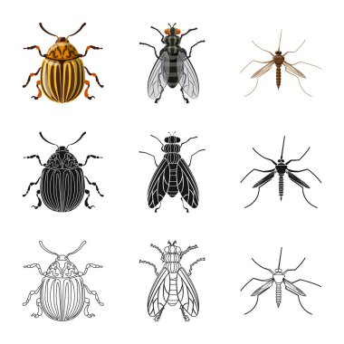 Böcek ve sinek logosu yalıtılmış nesne. Hisse senedi için böcek ve öğe vektör simge kümesi.