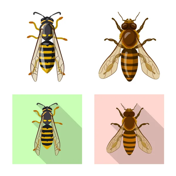 Ilustração vetorial de inseto e mosca. Coleção de ícone de inseto e elemento vetorial para estoque . —  Vetores de Stock