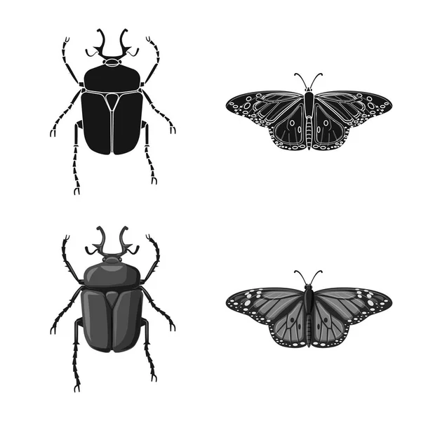 Na białym tle obiekt owad i mucha symbolu. Kolekcja owadów i element Stockowa ilustracja wektorowa. — Wektor stockowy