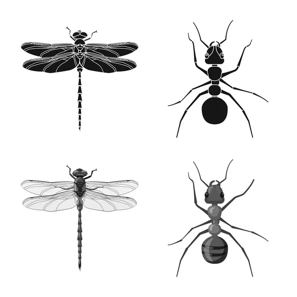 Isolierte Objekt von Insekten und Fliegen Zeichen. Set von Insekten- und Elementvektorsymbolen für Aktien. — Stockvektor