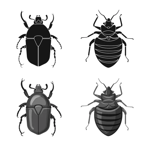 Vectorillustratie van insecten en vliegen logo. Set insect en element vector pictogram voor voorraad. — Stockvector