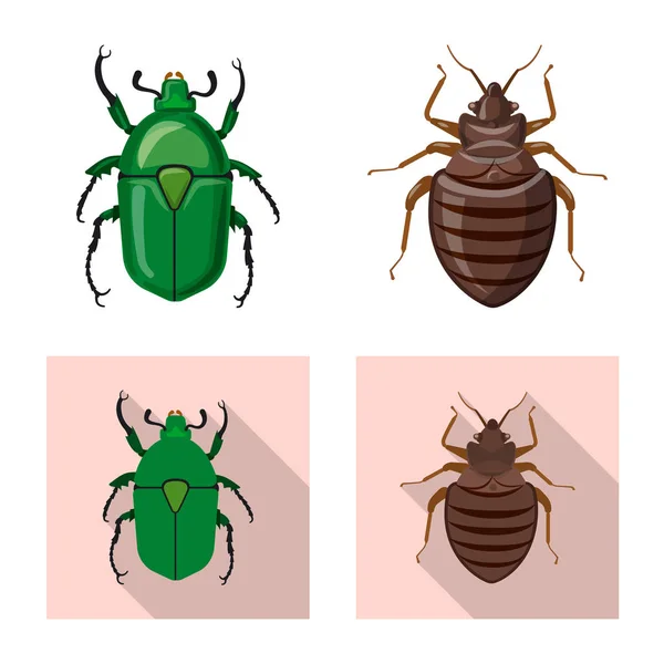 Vector ontwerp van insecten en vliegen pictogram. Set insect en element aandelensymbool voor web. — Stockvector