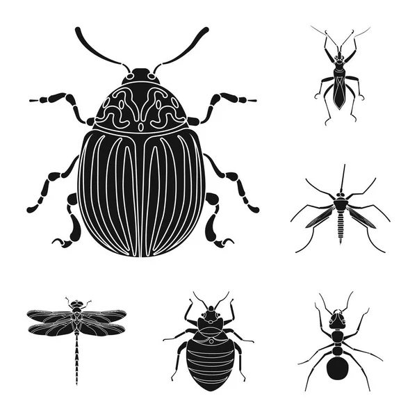 Vektorillustration von Insekten- und Fliegenzeichen. Sammlung von Insekten- und Elementvektorsymbolen für Aktien. — Stockvektor