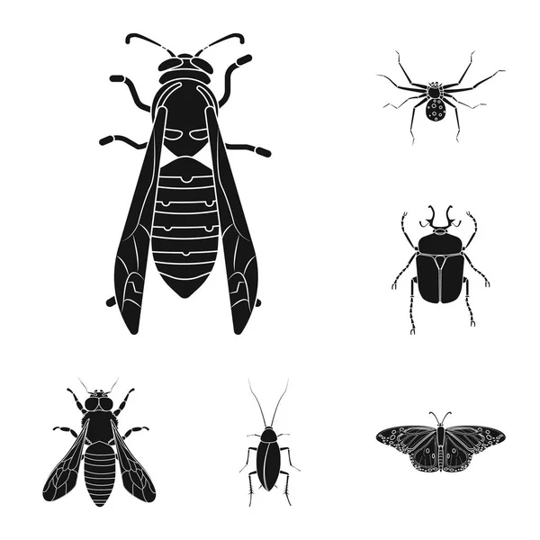 Isoliertes Objekt mit Insekten- und Fliegenlogo. Sammlung von Insekten- und Elementaktivvektordarstellungen. — Stockvektor