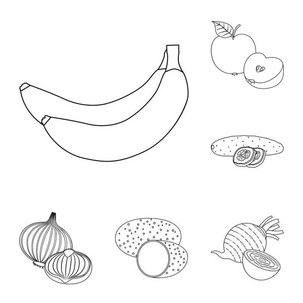 Ilustración vectorial del logotipo de verduras y frutas. Colección de icono de vector vegetal y vegetariano para stock . — Archivo Imágenes Vectoriales