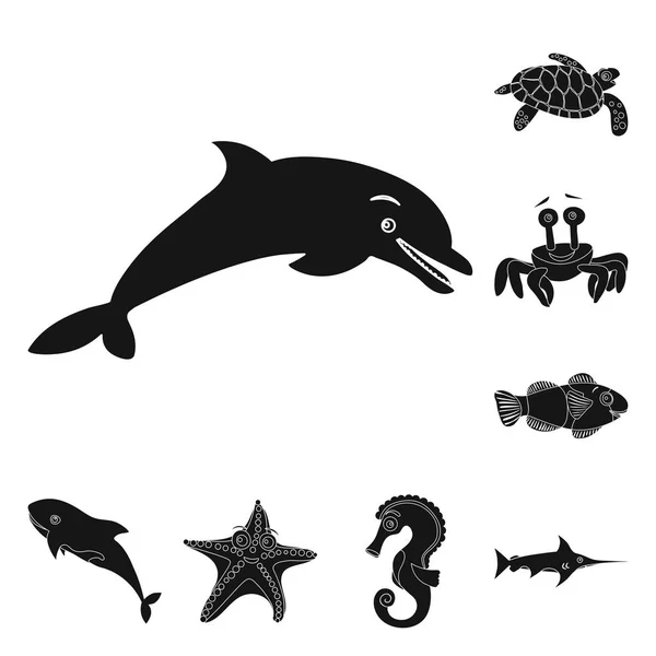 Векторное оформление морской и животной иконы. Набор векторных иллюстраций морских и морских запасов . — стоковый вектор