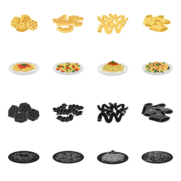 Vektorillustration von Nudeln und Kohlenhydraten. Sammlung von Nudeln und Makkaroni Aktiensymbol für Web. — Stockvektor