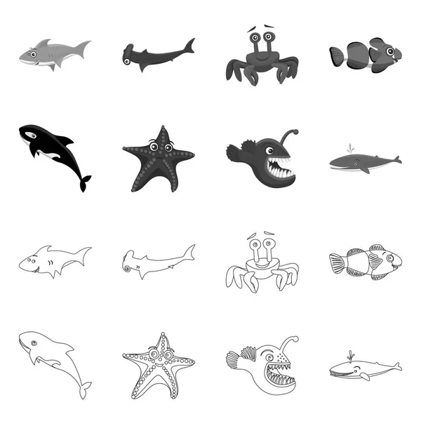 Diseño vectorial de mar y signo animal. Conjunto de mar y vector marino icono para stock . — Vector de stock