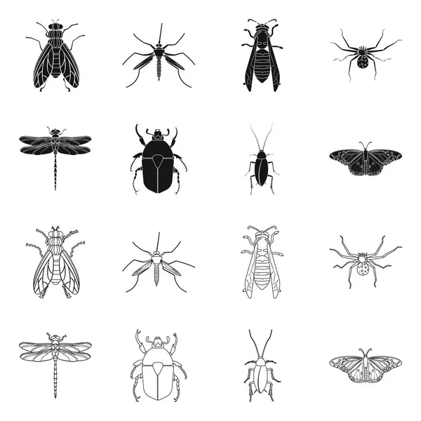 Vektorillustration von Insekten- und Fliegensymbol. Sammlung von Insekten- und Elementvektorsymbolen für Aktien. — Stockvektor