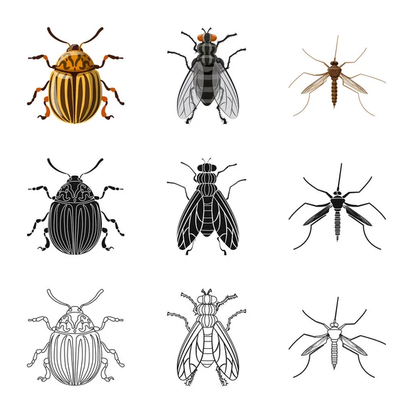 Geïsoleerde object van insecten en vliegen logo. Set insect en element vector pictogram voor voorraad. — Stockvector