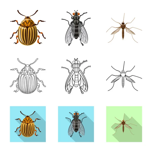곤충 및 비행 상징의 벡터 디자인입니다. 주식에 대 한 곤충 및 요소 벡터 아이콘 세트. — 스톡 벡터