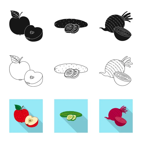 Illustration vectorielle du signe des légumes et fruits. Collection d'illustrations vectorielles de légumes et de bouillon végétarien . — Image vectorielle