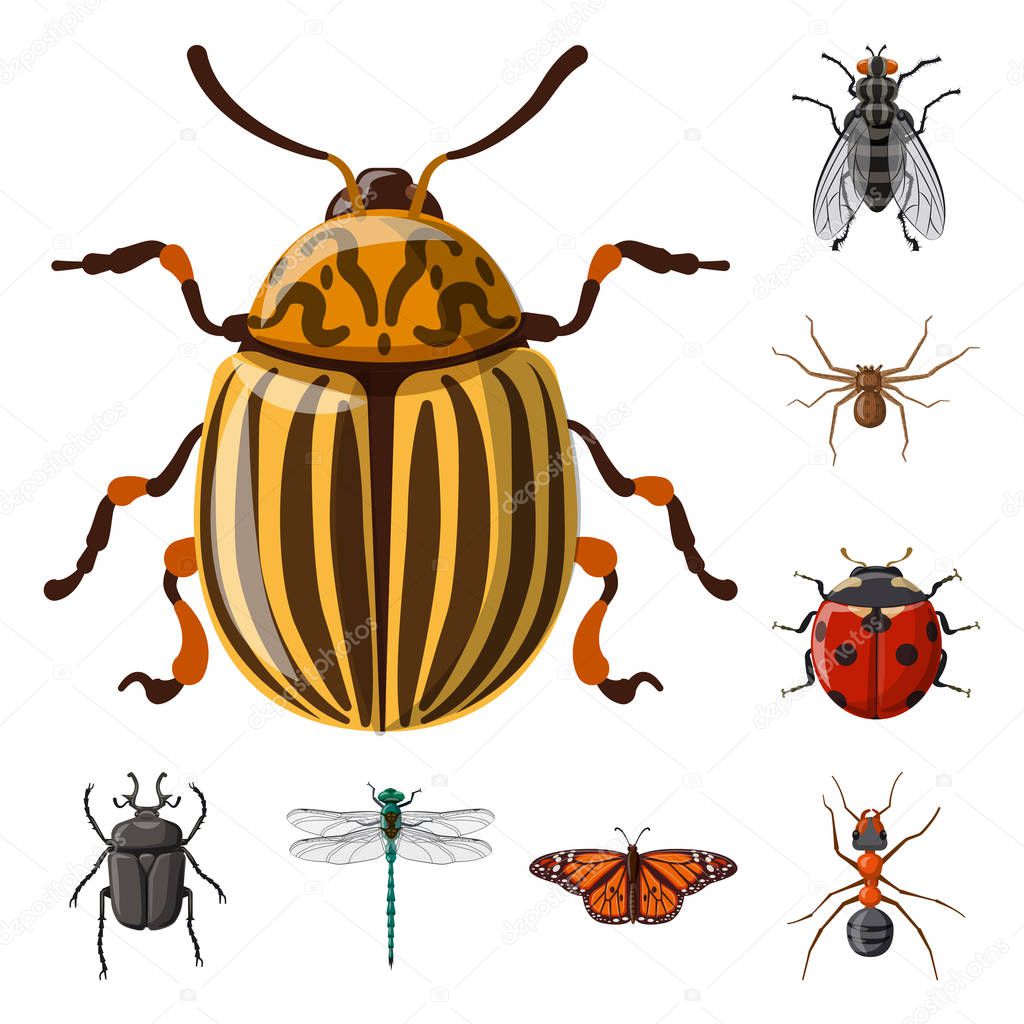 Isolated object of insect and fly sign. Set of insect and element vector icon for stock.